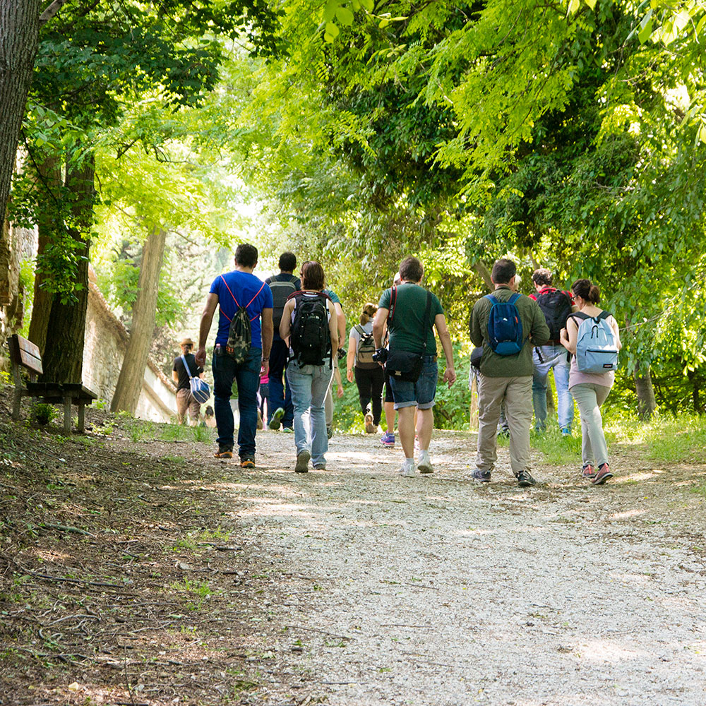 Crema News - Notizie in aggiornamento - Camminata nel parco a Vidolasco