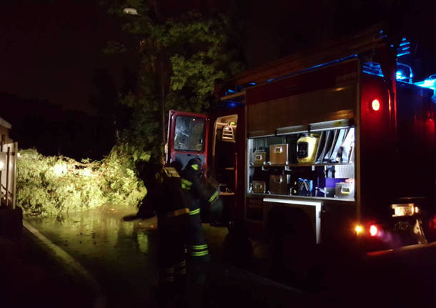 Crema News - Notizie in aggiornamento - Esonda la roggia Comuna ad Agnadello; Premio per la cantante Filipponi; S
